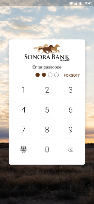 Sonora Bank passcode authentication.