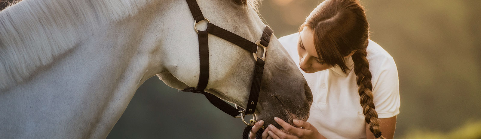 Girl with a horse