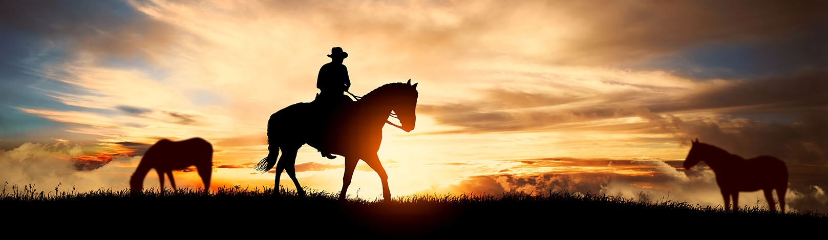 Horses at sunset