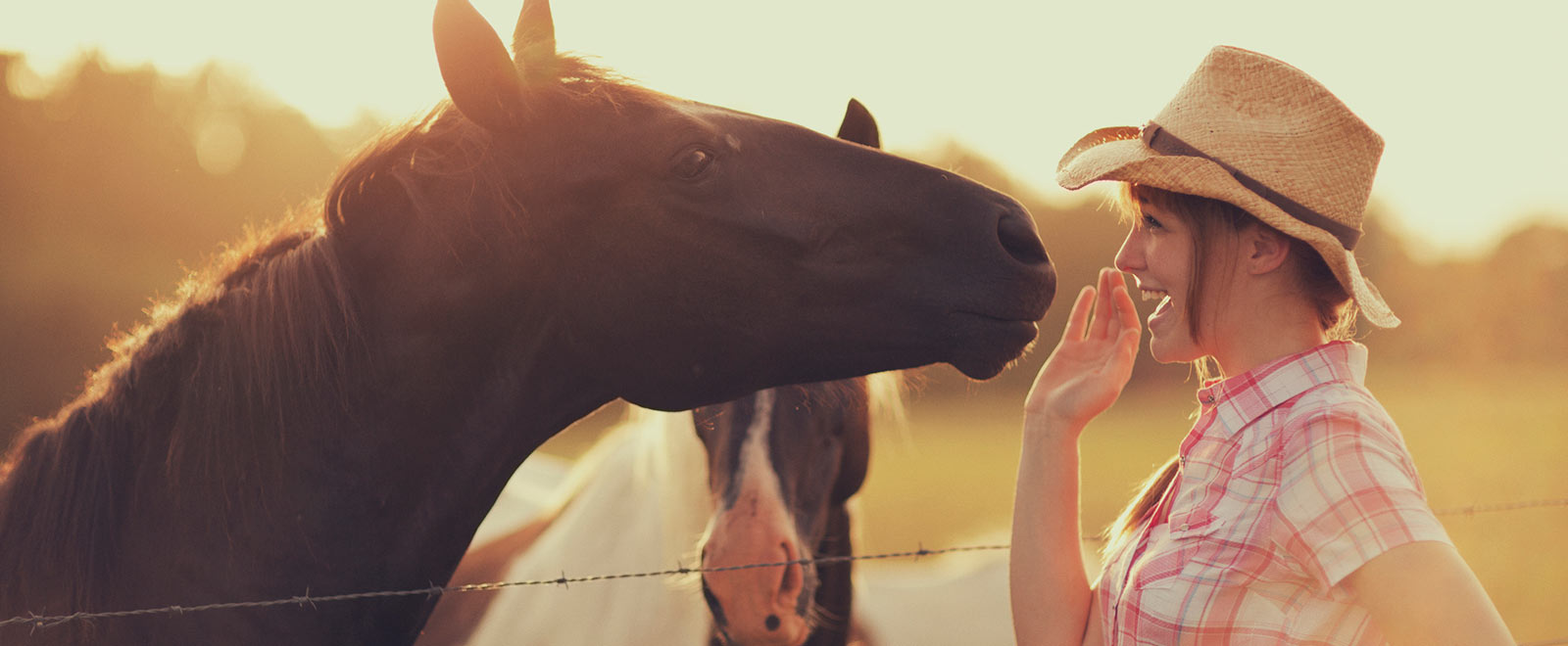 A lady outside with horses