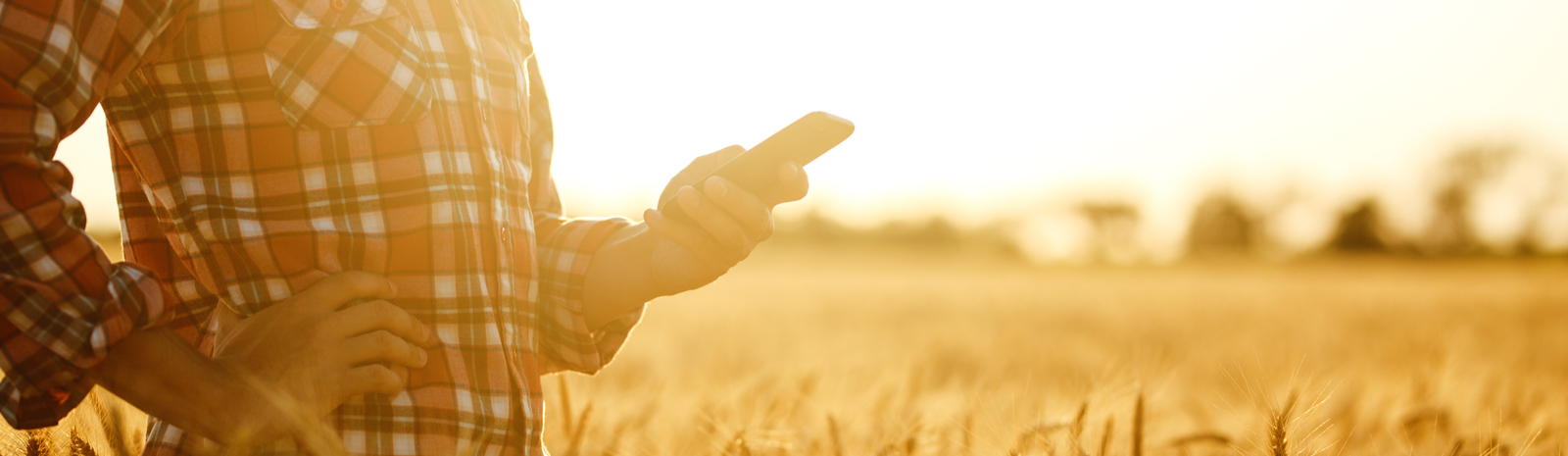 Rancher on field with phone