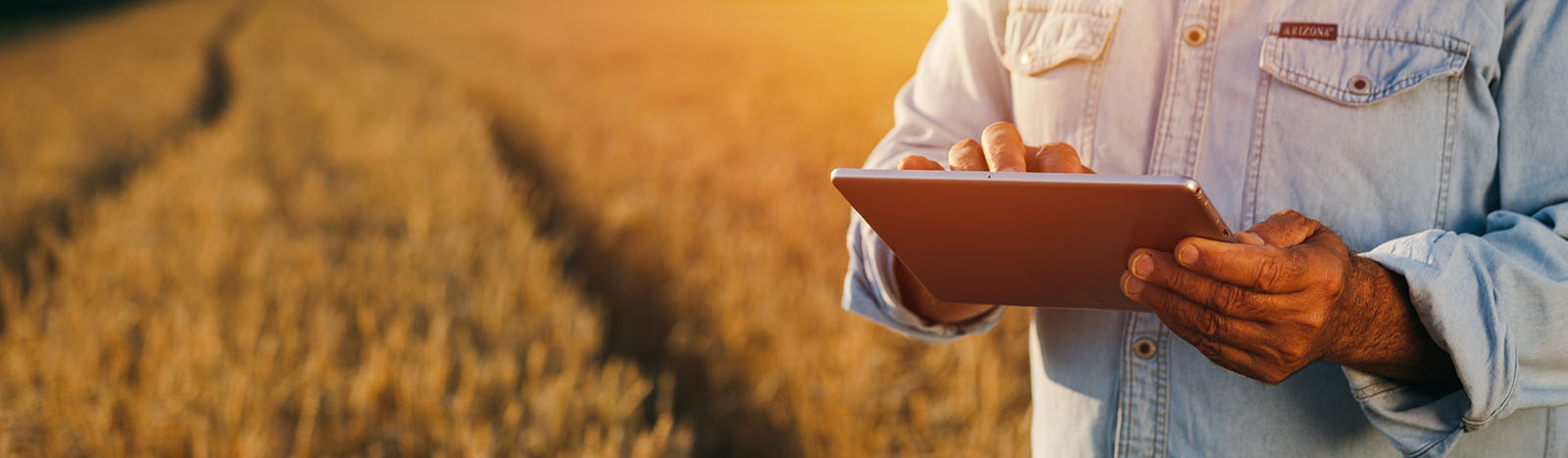 Man on ipad in field