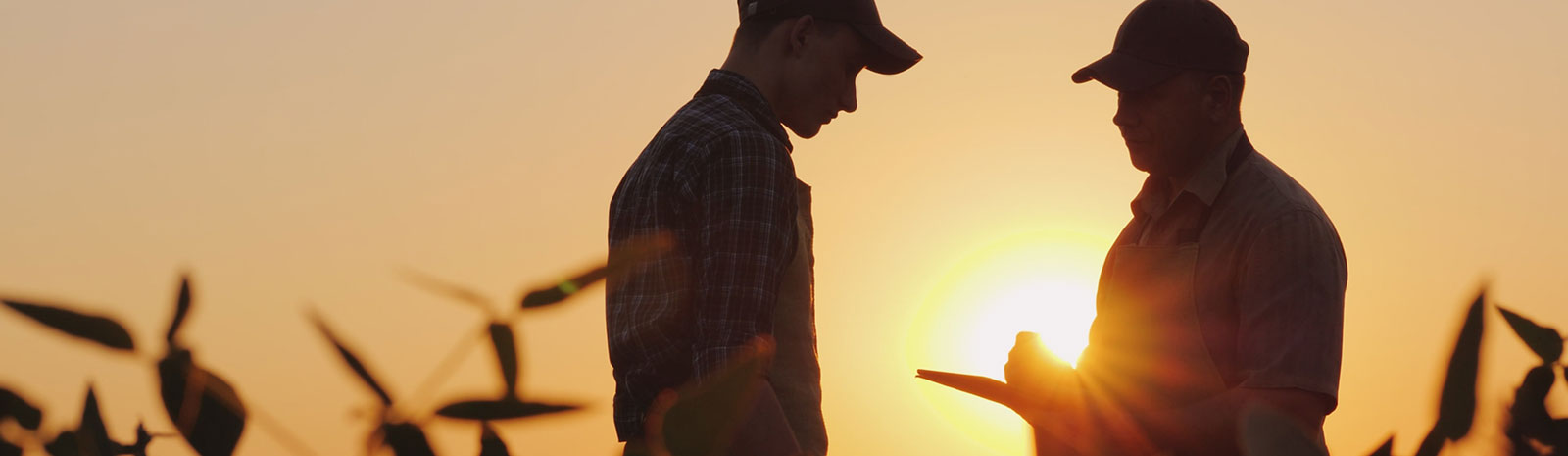 Men standing in a field