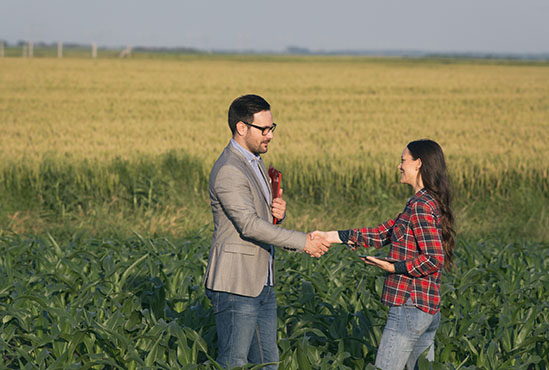 Man and woman shaking hands in field